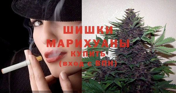 стаф Балахна