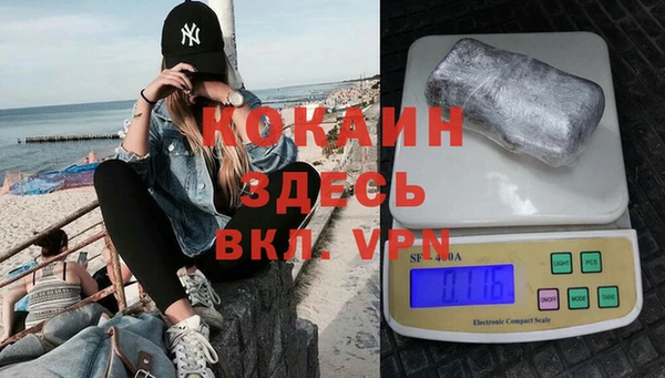 стаф Балахна