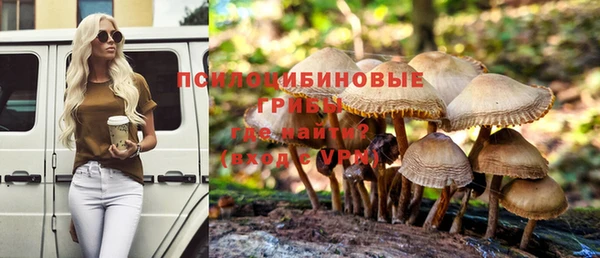 стаф Балахна