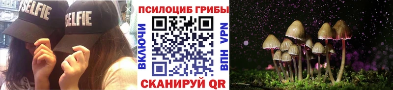 Псилоцибиновые грибы Cubensis  Олёкминск 
